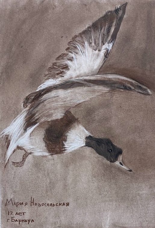 Flying Goose