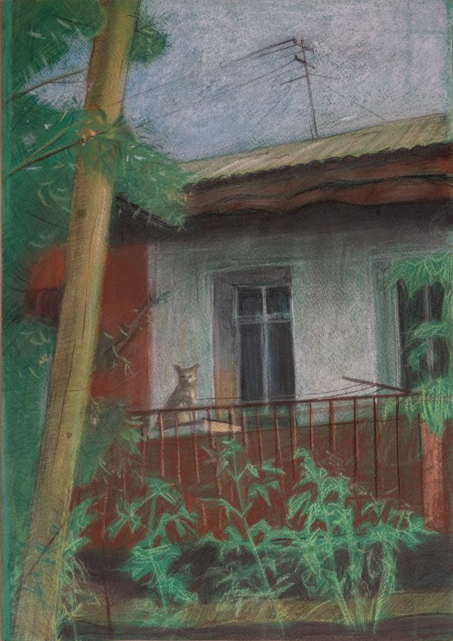 Cat II