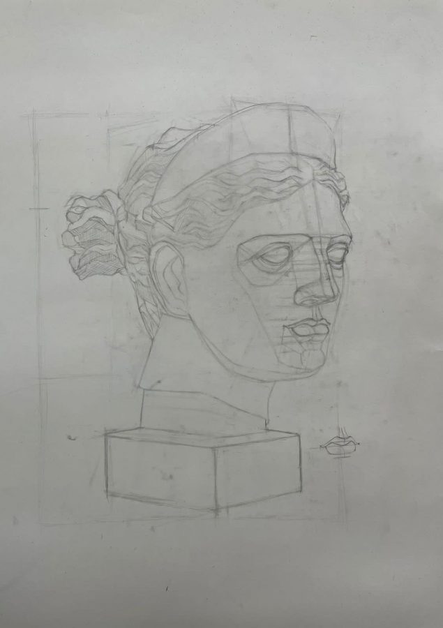 Woman's head