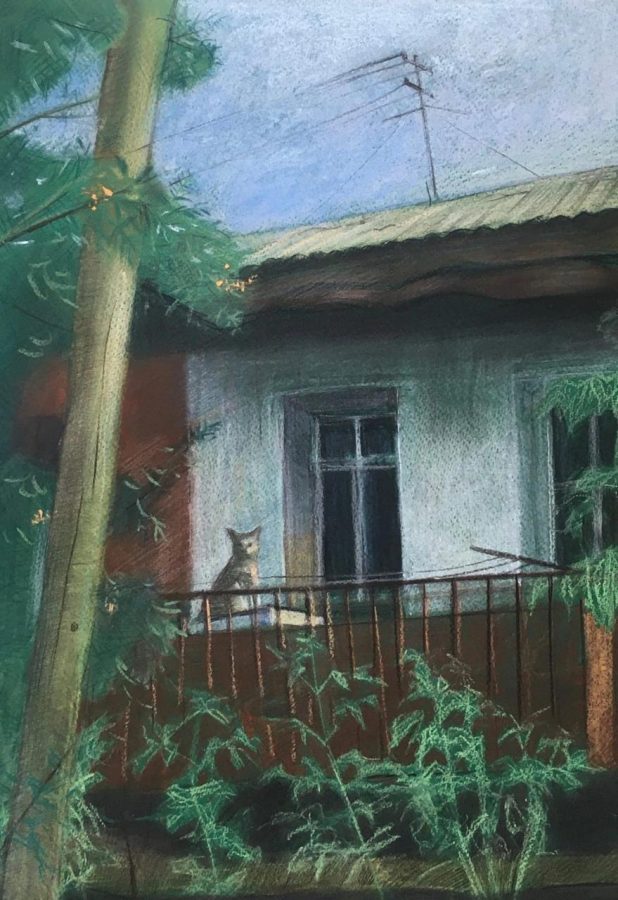 Lonely Cat