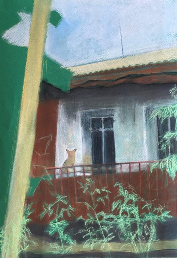 Lone Cat In Progress